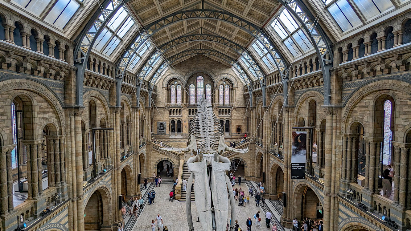 Natural History_museum 2