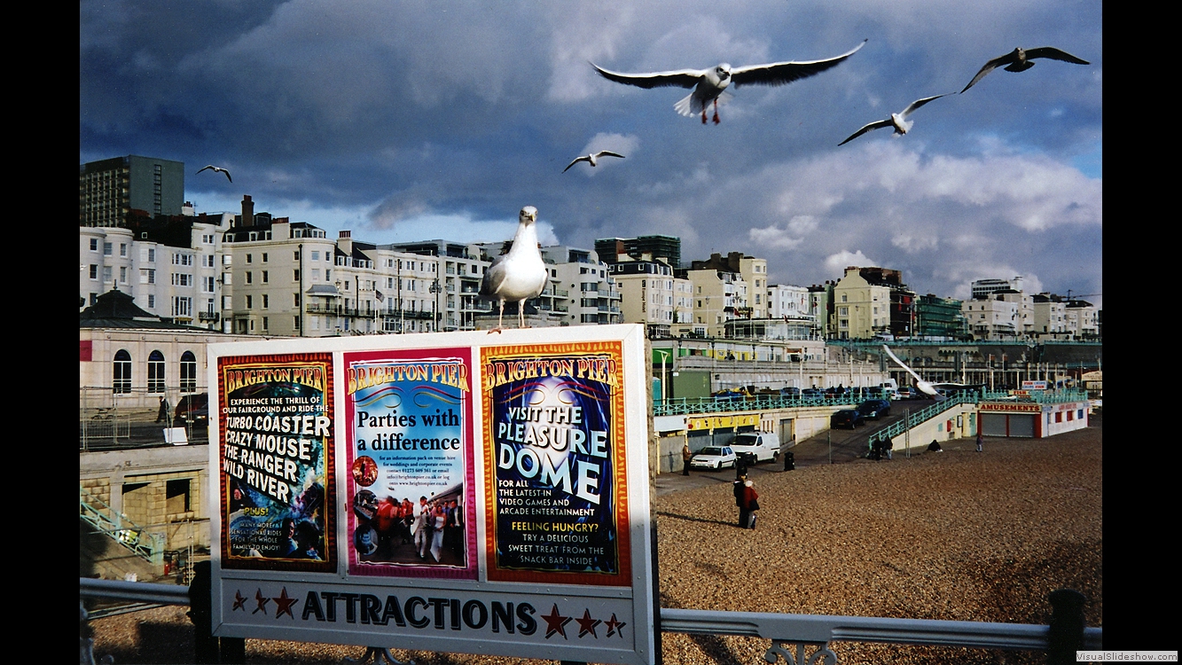 Brighton 2